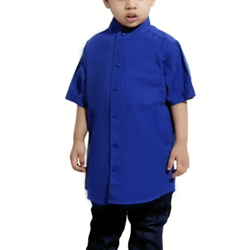 hushbhi boys casual Blue Shirt