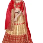 Elegant Embroidered Designer Lehengas