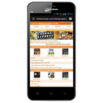 Micromax Bolt A40 Gray