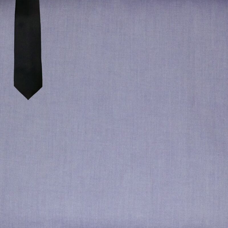 Raymond Men Poly Blended Shirting Fabric Purple Free Tie