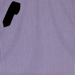 Raymond Men Poly Blended Shirting Fabric Purple Free Tie