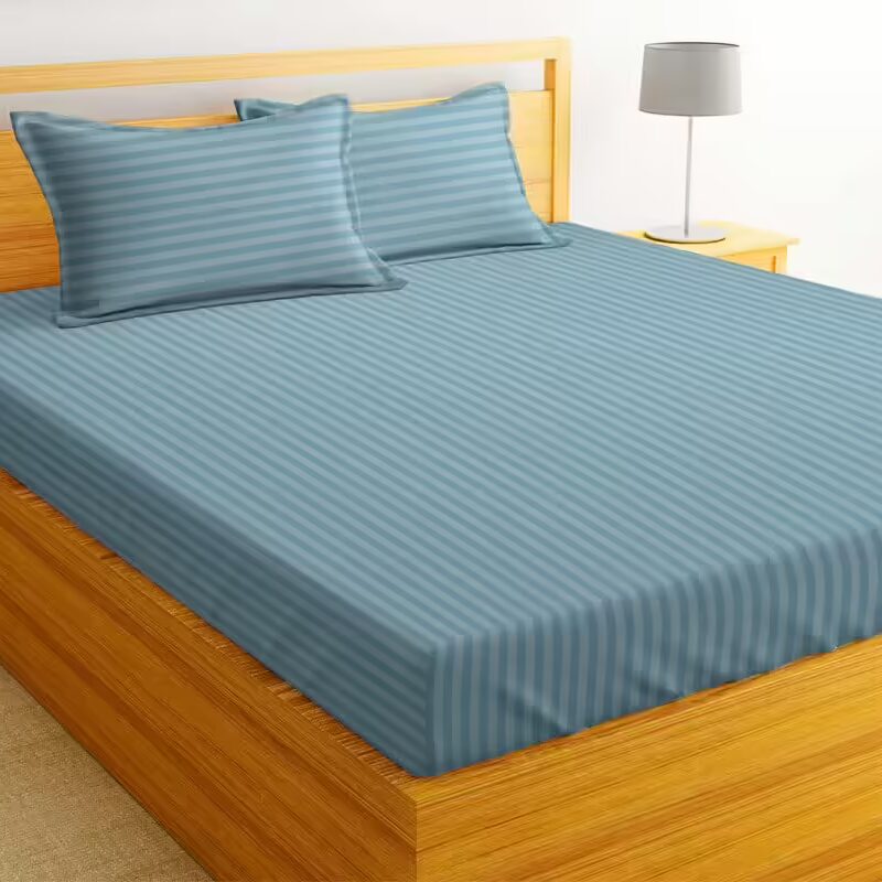 Seasons Double Bed Bedsheet, 2 Pillow Covers, Sky Blue