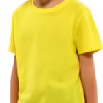 Yellow Round Neck Half Sleeve Kids Boys T-Shirt