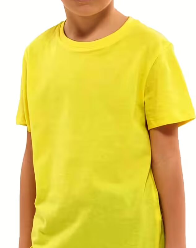Yellow Round Neck Half Sleeve Kids Boys T-Shirt