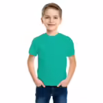 Cotton Plain Round Neck Blue T-Shirts