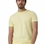 Men Regular Fit Light Yellow T-Shirt