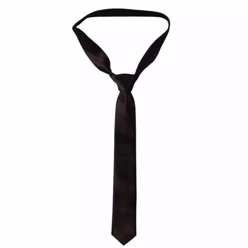 Seasons Skinny Ties