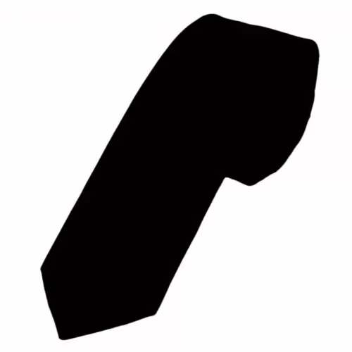 Seasons Tie Black Satin Skinny Tie